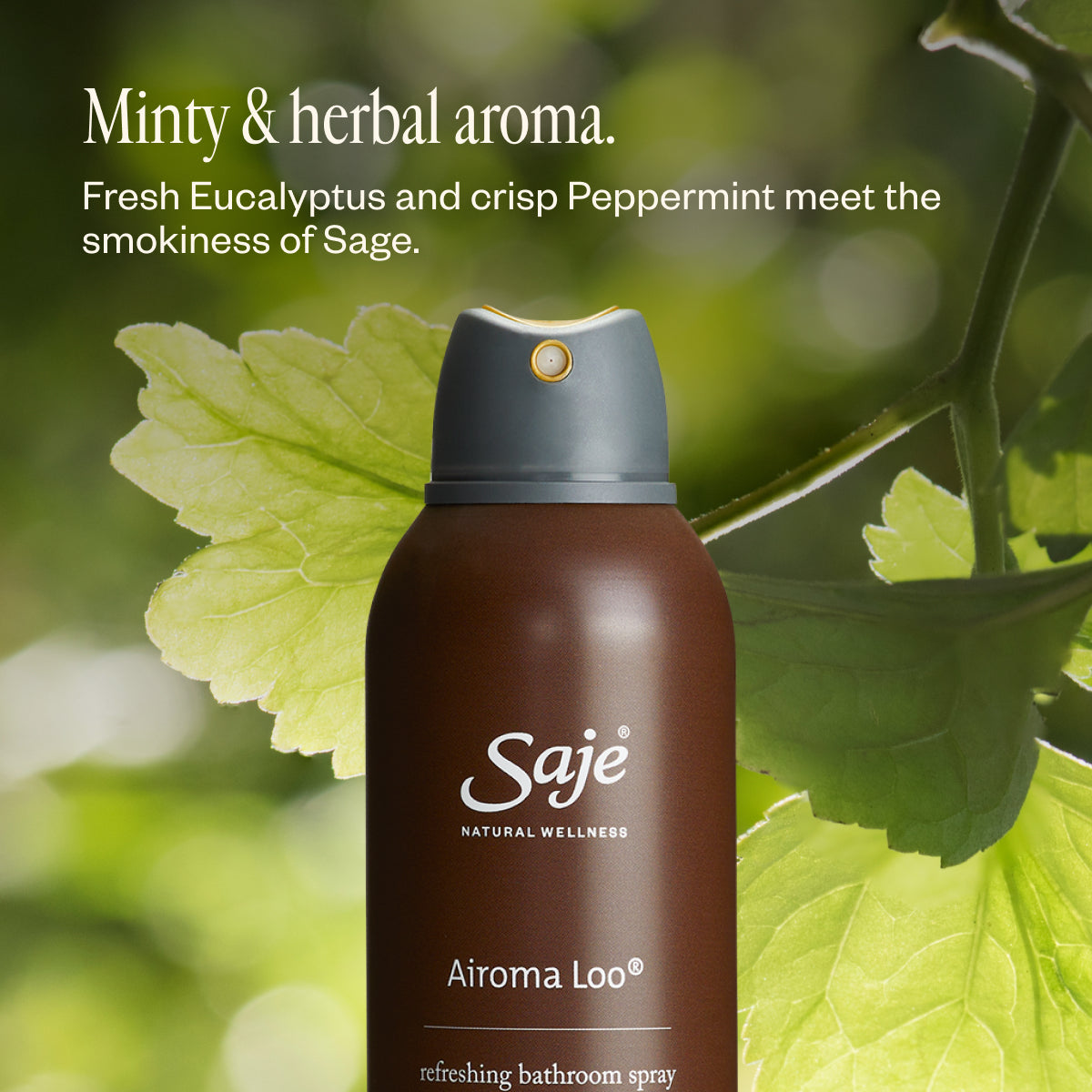 Airoma Loo