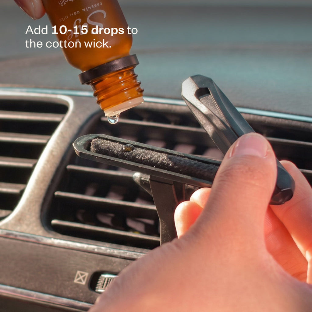 Drive Renewed