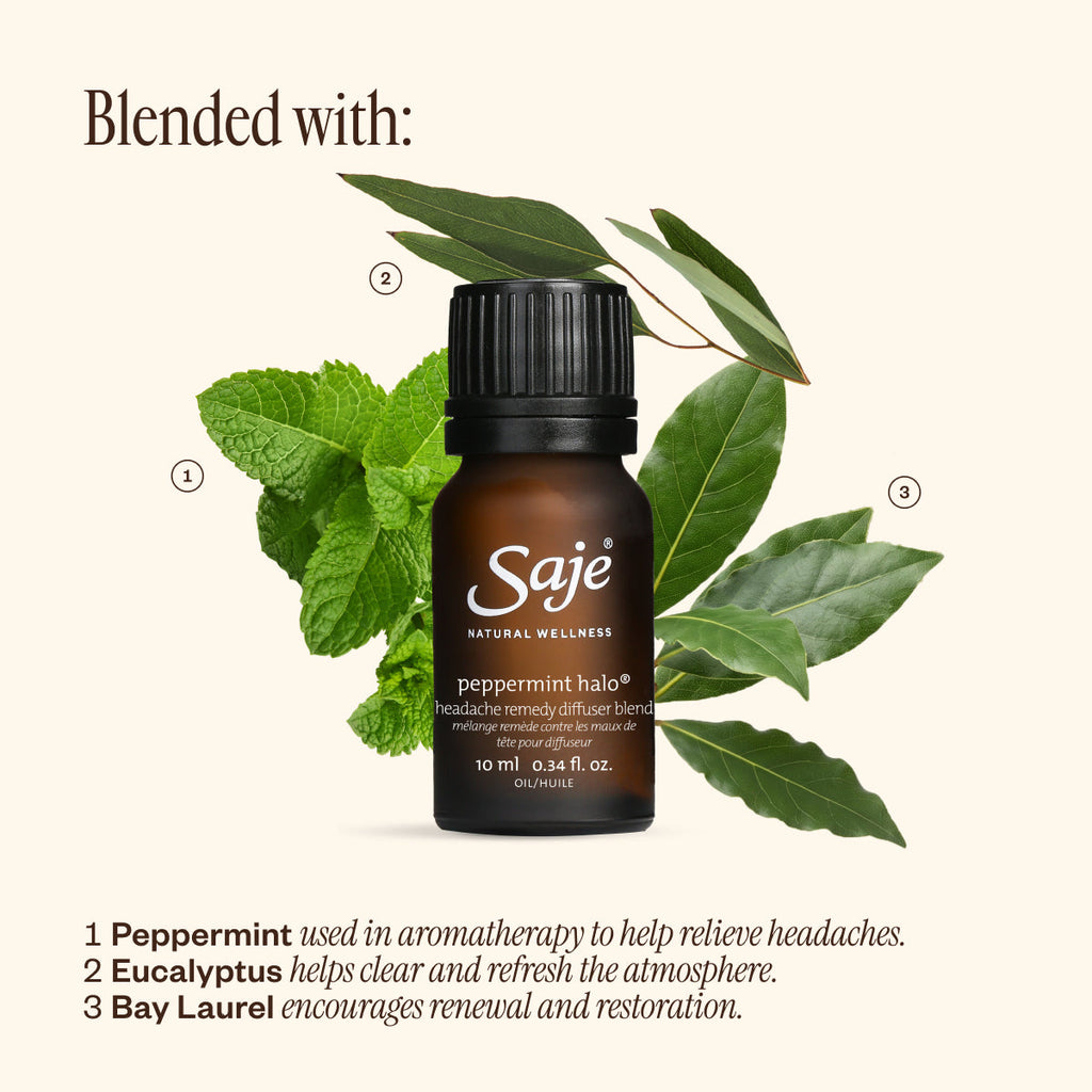Crisp Canopy